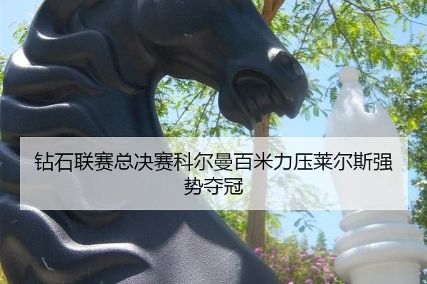 zuan-shi-lian-sai-zong-jue-sai-ke-er-man-bai-mi-li-ya-lai-er-si-qiang-shi-duo-guan-2-717.jpg